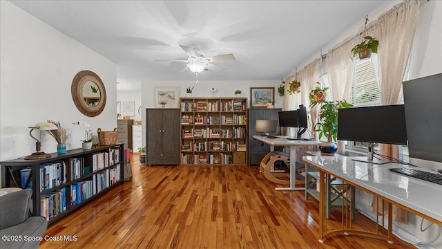 home office with ceiling fan and hardwood / wood-style flooring