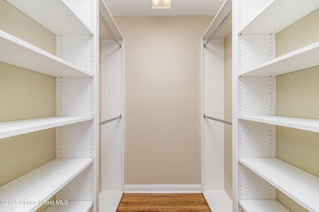 spacious closet featuring wood-type flooring