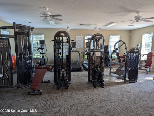 workout area featuring a textured ceiling and plenty of natural light