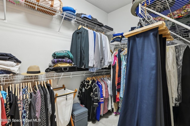 view of spacious closet