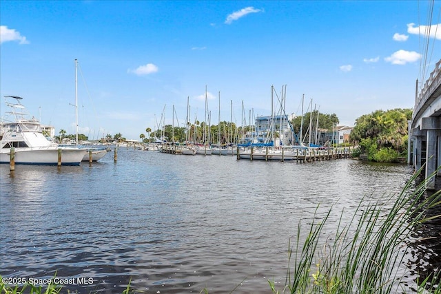 property view of water with a dock