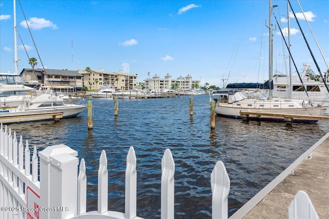 dock area with a water view