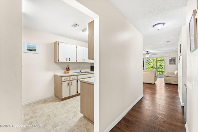 hall with sink, a textured ceiling, and light hardwood / wood-style flooring