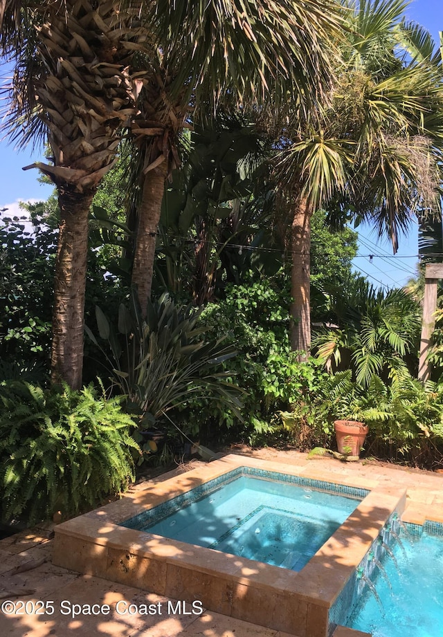 view of swimming pool with an in ground hot tub