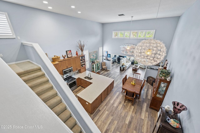 living room featuring sink and hardwood / wood-style flooring