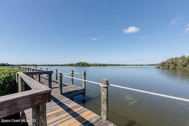 dock area featuring a water view