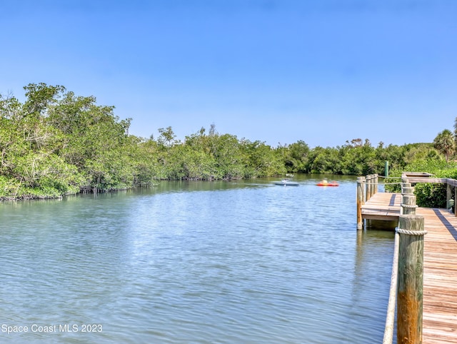 dock area with a water view