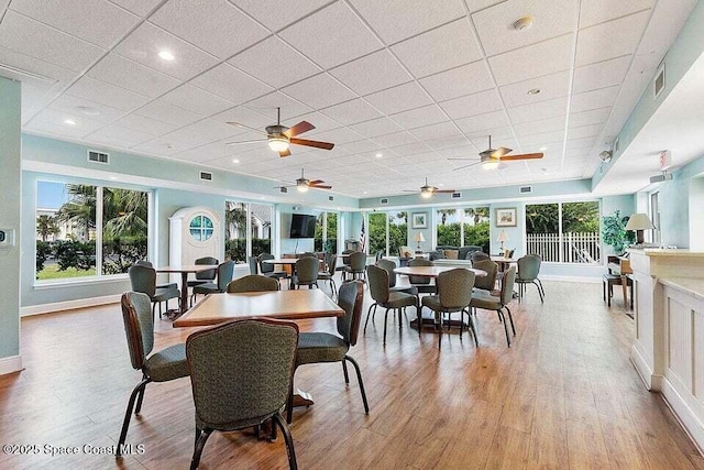 dining room with light hardwood / wood-style flooring