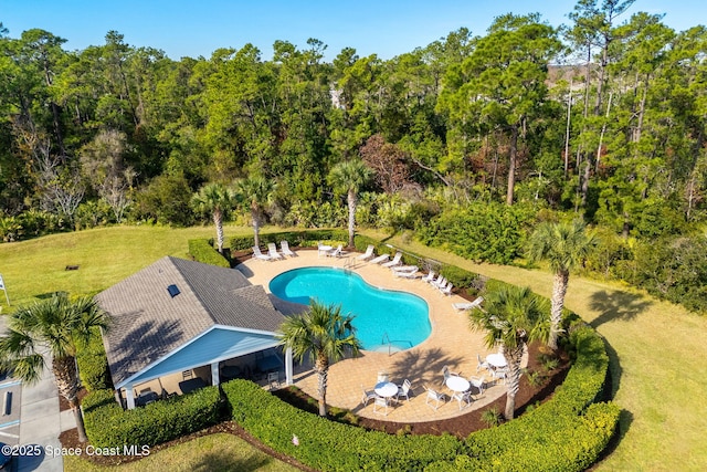 view of swimming pool featuring a patio area and a lawn