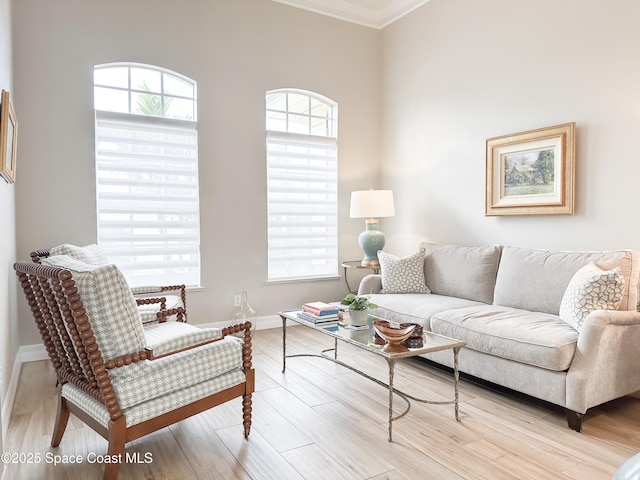 living room featuring crown molding, light wood-type flooring, and a wealth of natural light