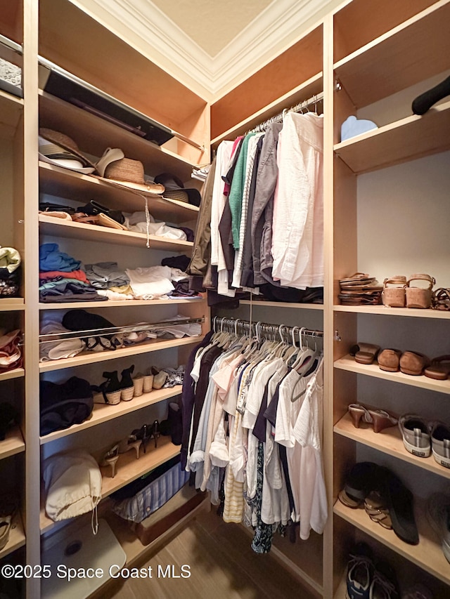 spacious closet with hardwood / wood-style floors