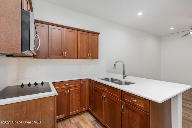 kitchen with kitchen peninsula, black electric cooktop, ceiling fan, sink, and light hardwood / wood-style flooring