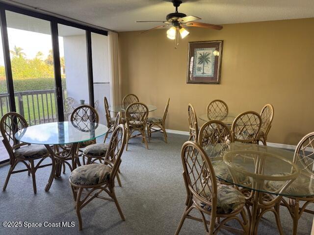 dining space with ceiling fan, a wall of windows, and carpet