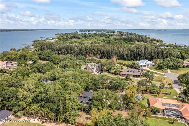 145 Crispin St, Merritt Island, FL 32952 - aerial view of a nearby body of water and a forest