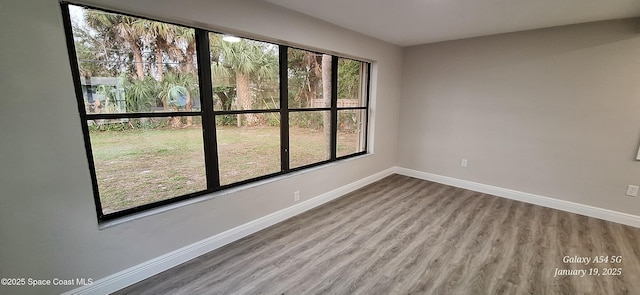 unfurnished room featuring wood-type flooring and a healthy amount of sunlight