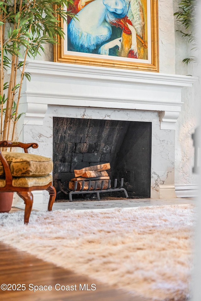 details with a premium fireplace