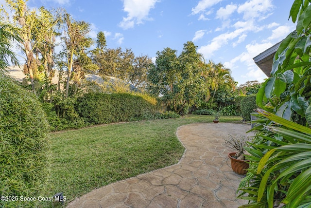 view of yard featuring a patio