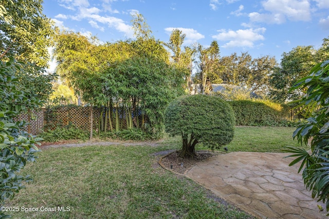 view of yard featuring a patio area