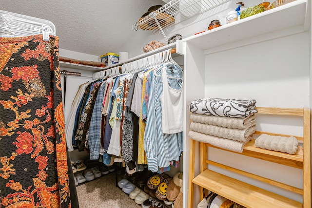 spacious closet with carpet floors