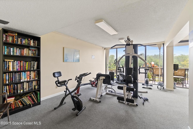 workout room featuring carpet, a textured ceiling, and floor to ceiling windows