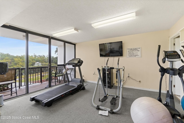 workout area with a textured ceiling and floor to ceiling windows