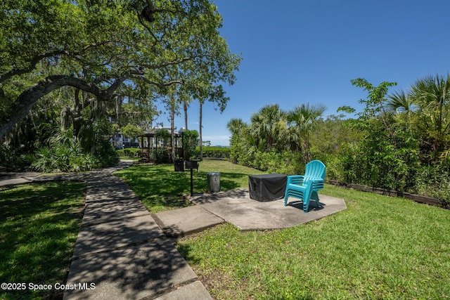 view of yard featuring a patio area