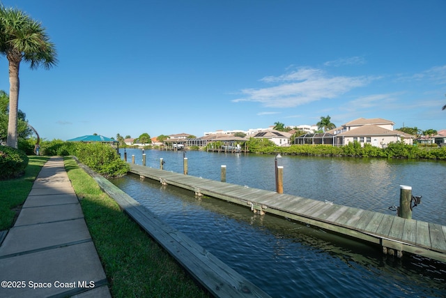 dock area with a water view