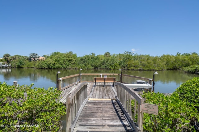 dock area featuring a water view