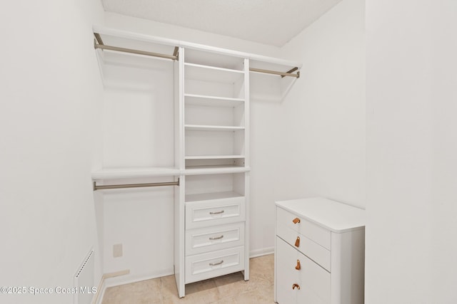 view of spacious closet