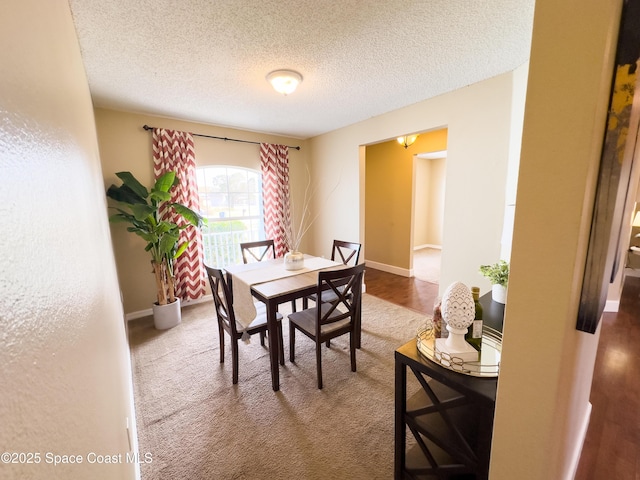 carpeted dining area featuring a textured ceiling