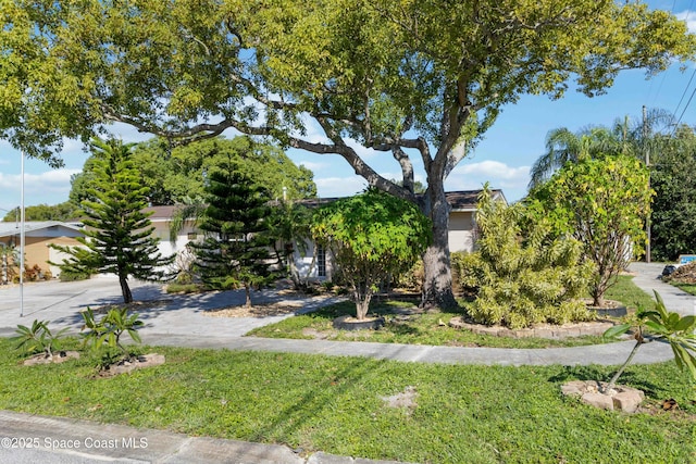 obstructed view of property with a front yard