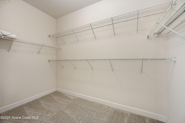 spacious closet with carpet floors