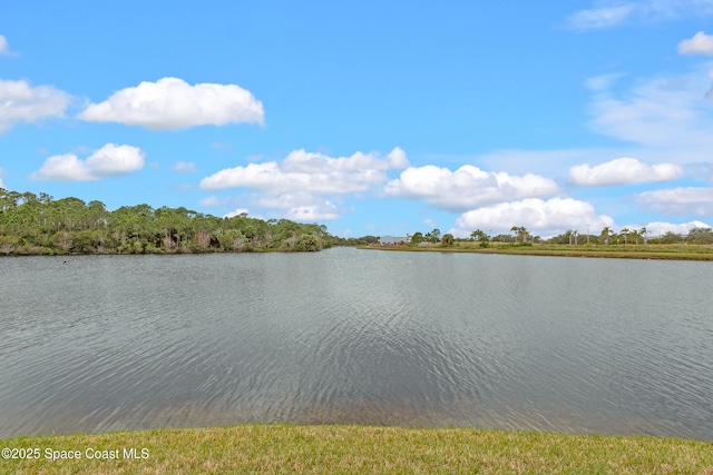 property view of water