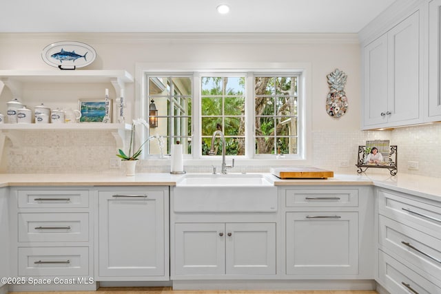 kitchen with crown molding, white cabinetry, backsplash, and sink