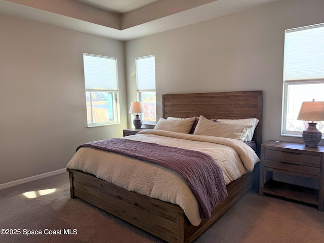 bedroom with carpet floors and multiple windows