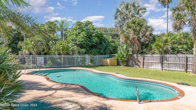 view of pool featuring a yard