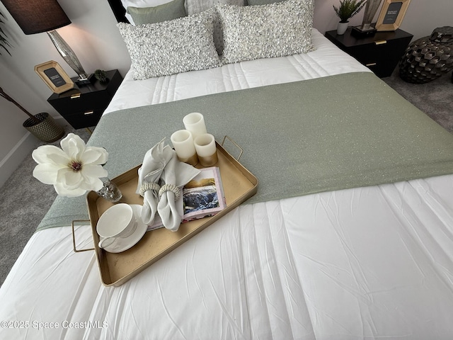 room details with carpet floors