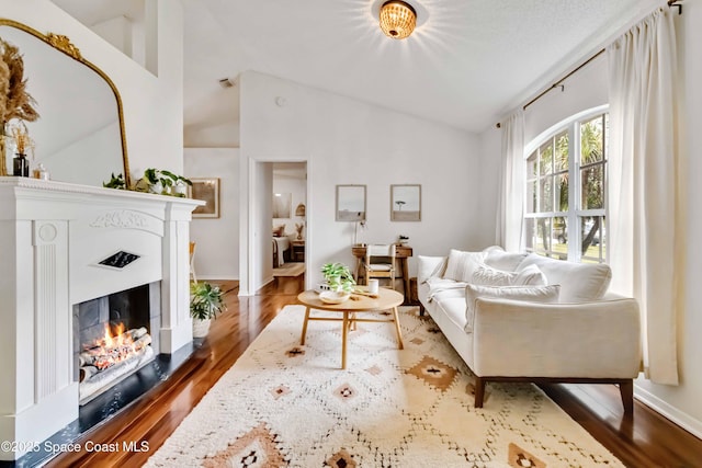 living room with hardwood / wood-style flooring and high vaulted ceiling