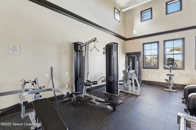 gym featuring a high ceiling