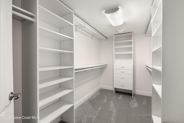 walk in closet featuring dark colored carpet