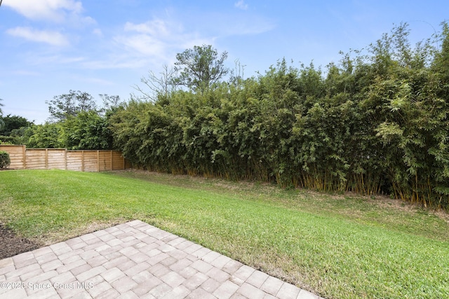 view of yard with a patio