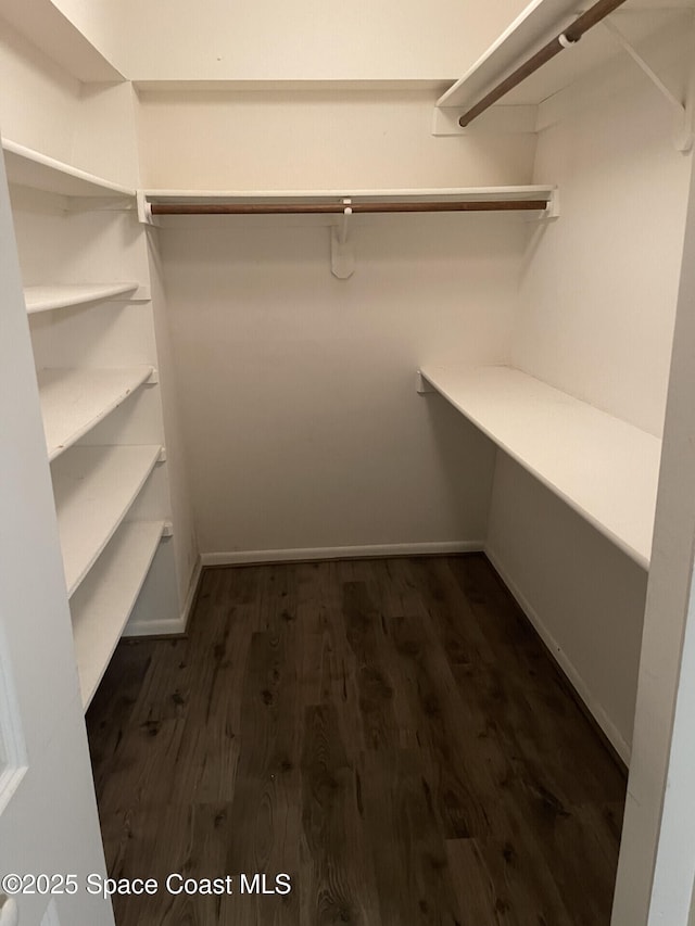 spacious closet featuring dark hardwood / wood-style flooring