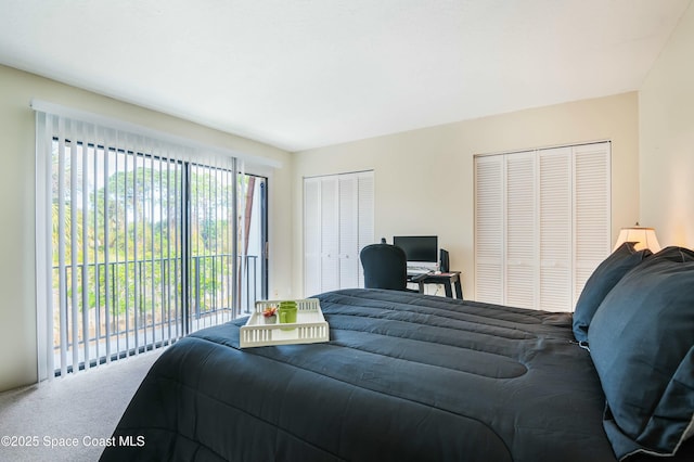 carpeted bedroom featuring two closets