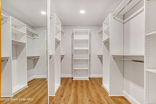 walk in closet with light wood-type flooring