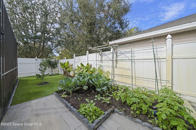 view of yard featuring a patio area