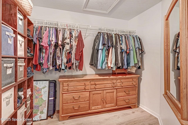 walk in closet with light wood-type flooring