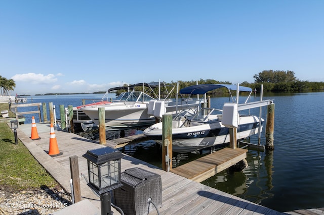 dock area with a water view