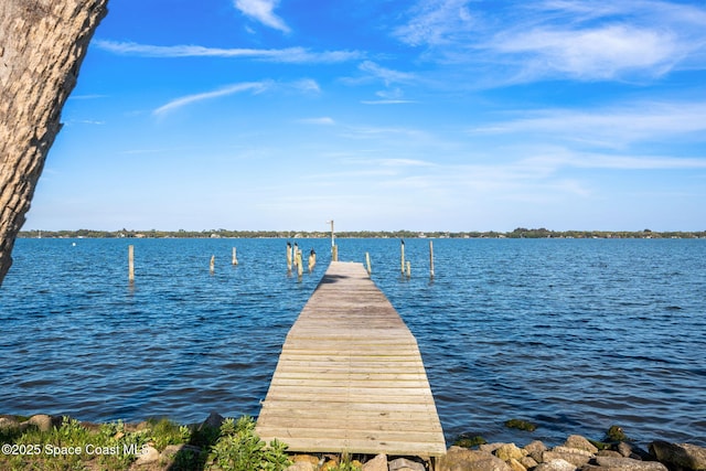 view of dock with a water view