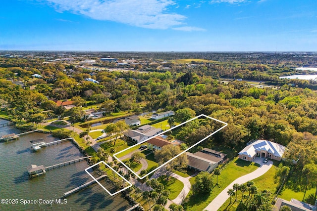 birds eye view of property with a water view and a forest view