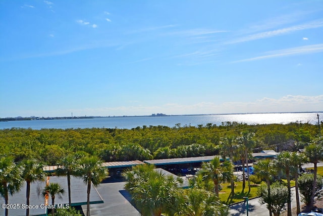 300 Columbia Dr Unit 5051, Cape Canaveral, FL 32920 - water view